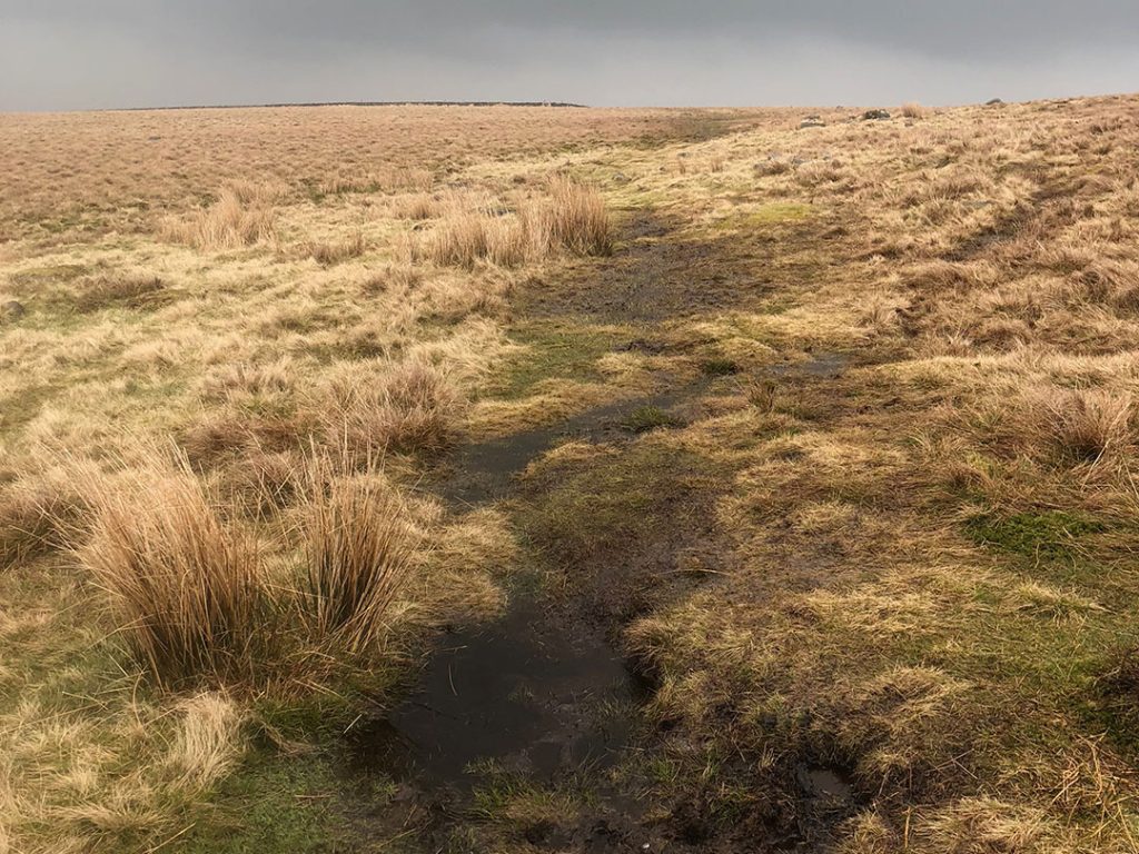 Rud Hill Boggy Terrain