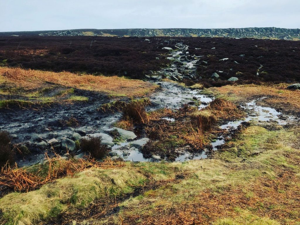 Burbage Edge Mud Bath