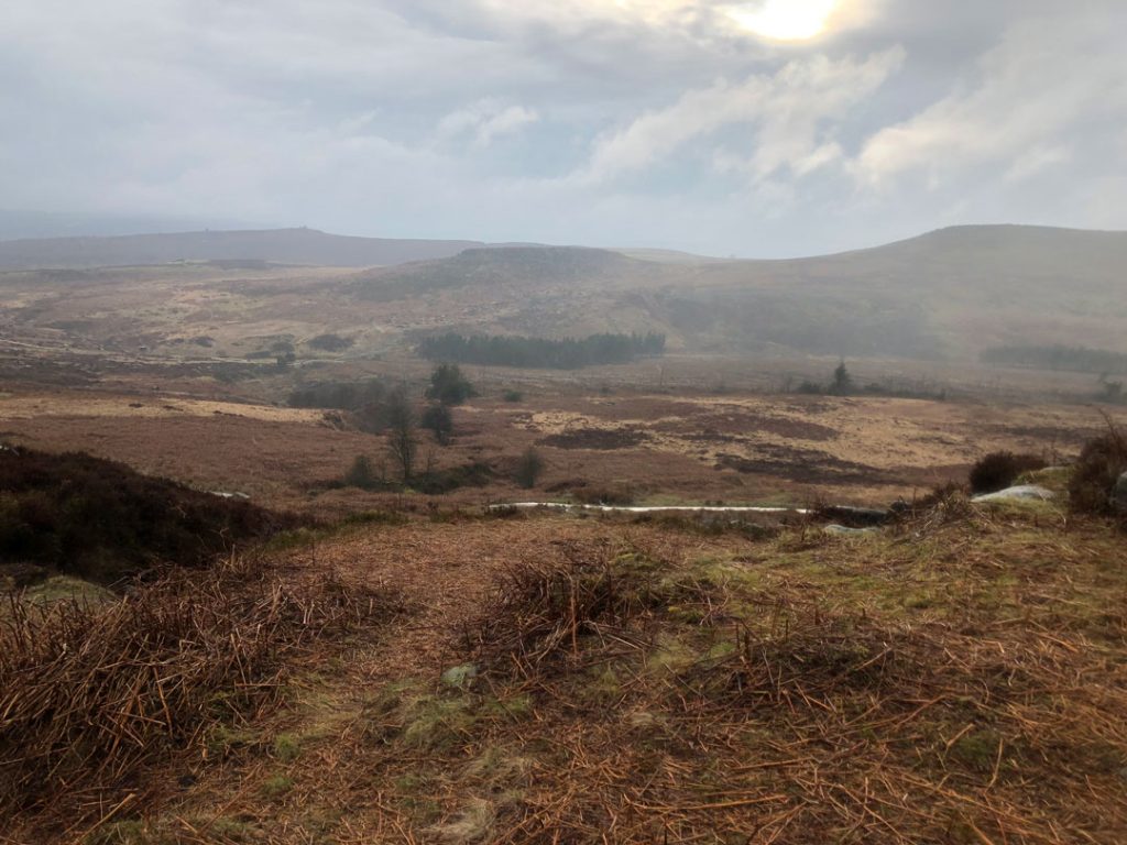 Burbage Edge towards Surprise View