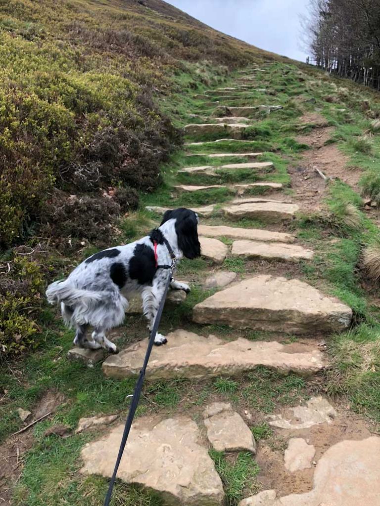 Heading-up-the-zig-zag-footbpath-from-Edale