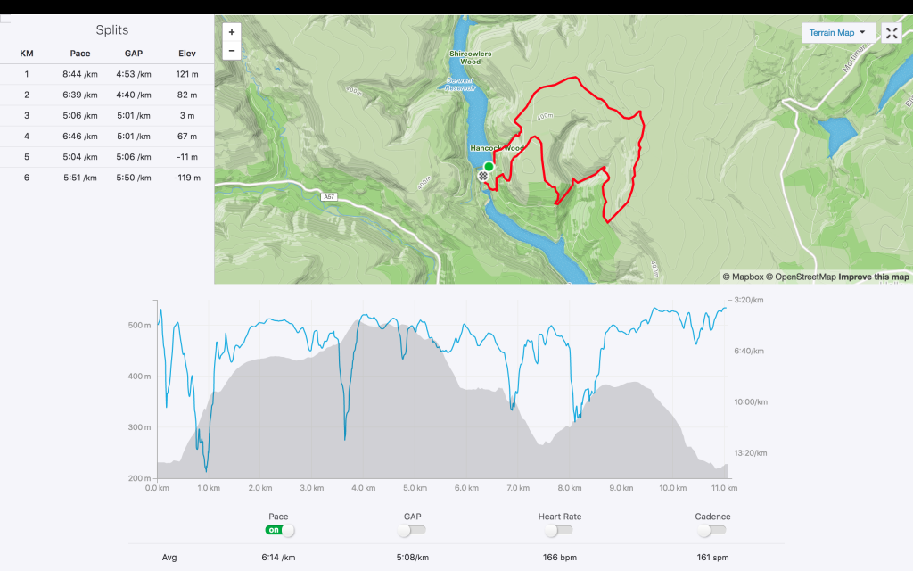 Salt Cellar Fell Race Elevation Map