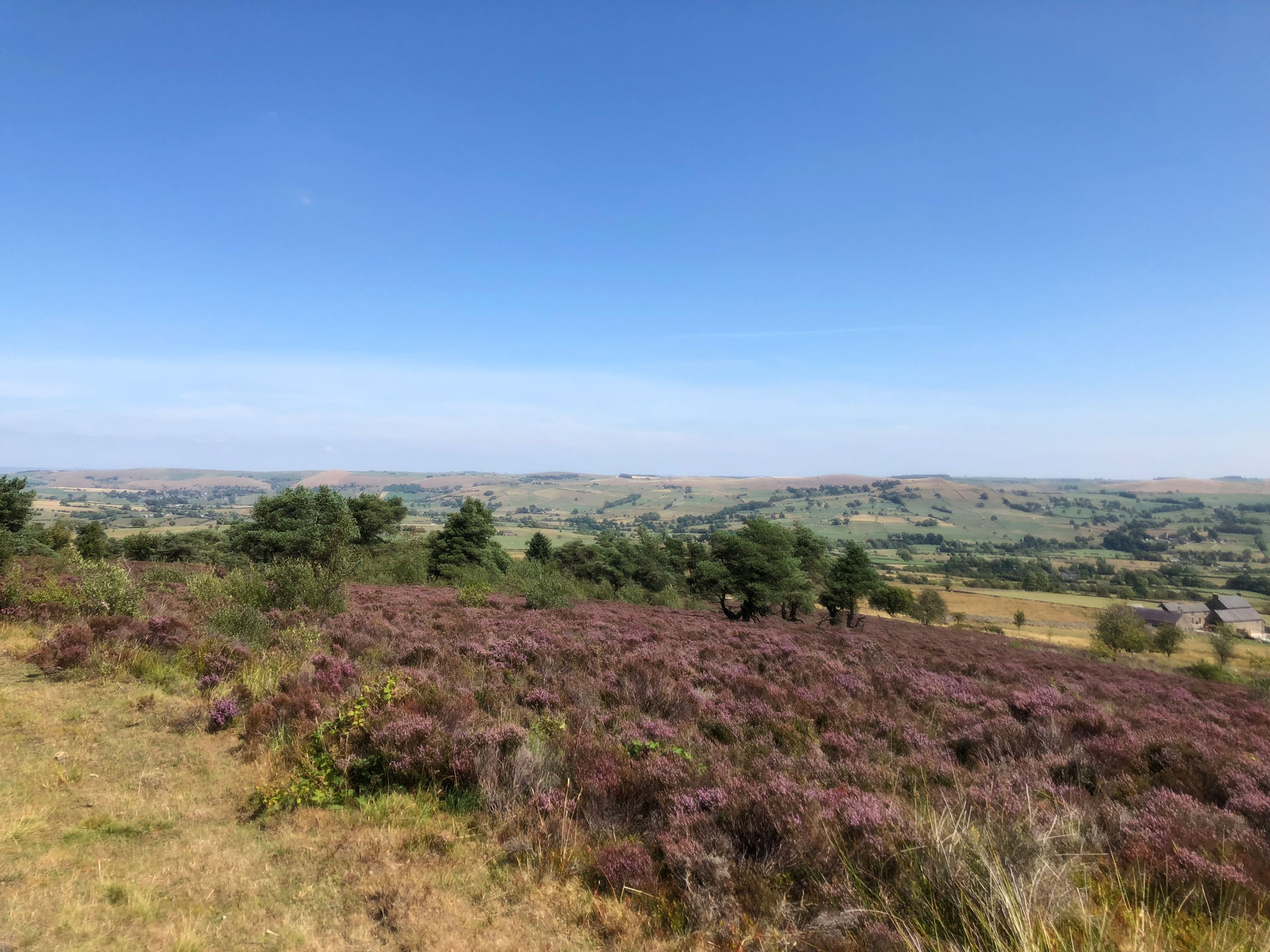 Dovedale Dipper Marathon Reaps Moor CP3