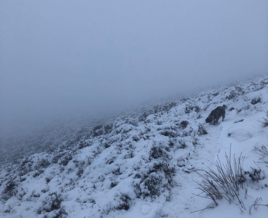 Tigger Tor in the snow